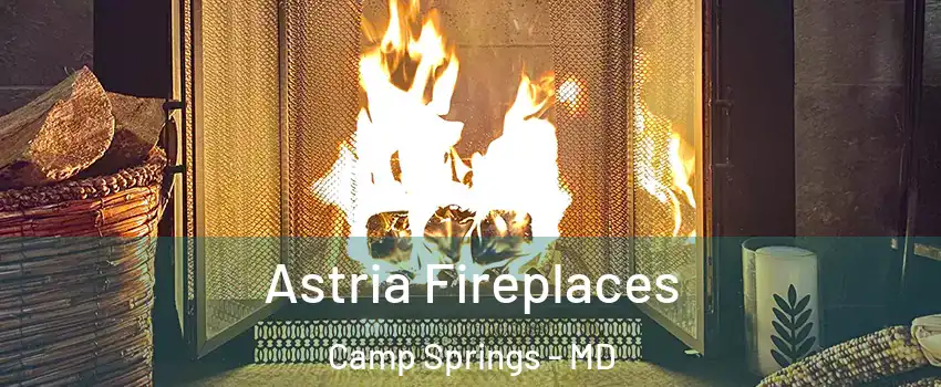  Astria Fireplaces Camp Springs - MD