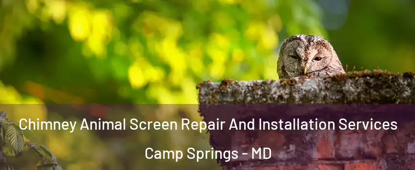  Chimney Animal Screen Repair And Installation Services Camp Springs - MD