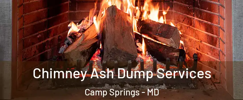  Chimney Ash Dump Services Camp Springs - MD