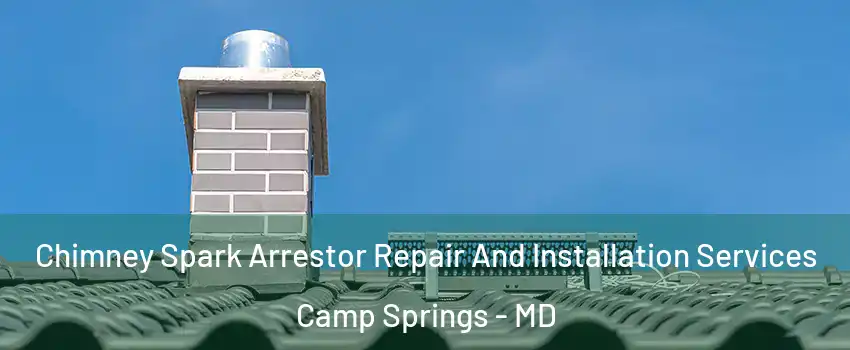  Chimney Spark Arrestor Repair And Installation Services Camp Springs - MD