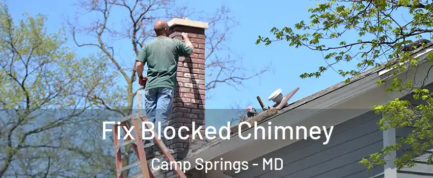  Fix Blocked Chimney Camp Springs - MD