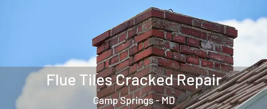  Flue Tiles Cracked Repair Camp Springs - MD