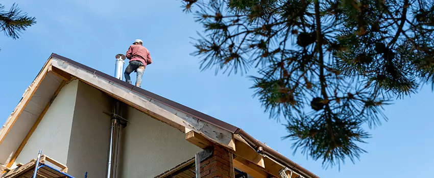 Birds Removal Contractors from Chimney in Camp Springs, MD