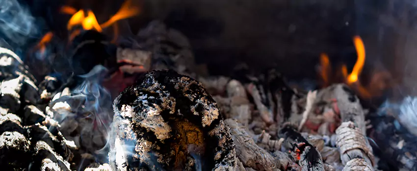 Creosote Removal Experts in Camp Springs, MD