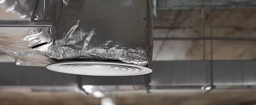 Signs of Dust Accumulation in Vents in Camp Springs, MD