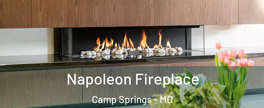  Napoleon Fireplace Camp Springs - MD