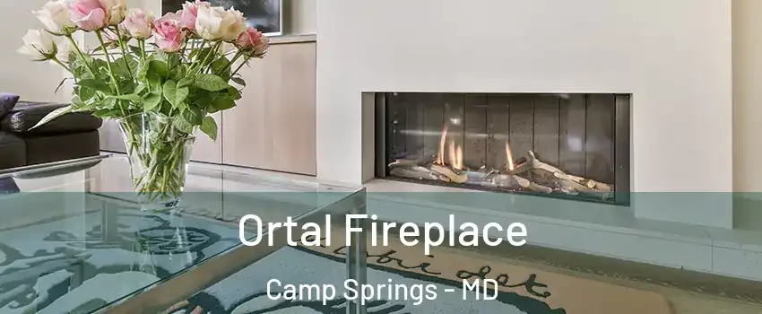  Ortal Fireplace Camp Springs - MD